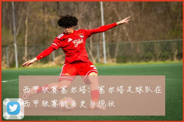 西甲联赛塞尔塔：塞尔塔足球队在西甲联赛的历史与现状